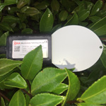 260-RK300-04 Leaf Wetness Sensor